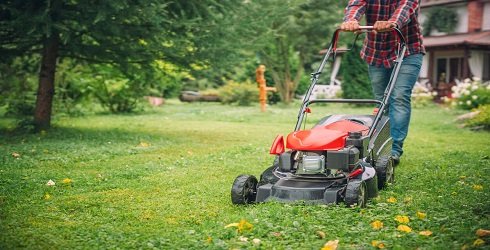 Pourquoi faut-il arrêter de tondre la pelouse en été ?