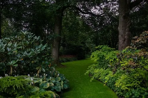 Créer un jardin paysager et donner du cachet à sa rénovation