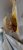 Resized_20241229_165648_17374774896081.jpeg