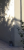 Capture.PNG