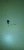 tache 1.jpg