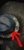 Screenshot_20220204-203451_Chrome.jpg