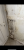 A4BAD30C-DB56-4FB1-BCB3-73934AB51CEC.png