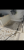 IMG_6036.PNG