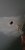 20200616_213233.jpg
