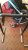 thumbnail_IMAG0080.jpg