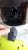 received_678784582583576.jpeg