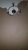 75576538_1555023894640383_7776391361489534976_n.jpg