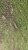 AE2C77F5-1B57-43EE-BAED-D937C43E7161.jpeg