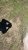 8BB2CBBC-5C93-4A0E-9518-A74D09F6A8BC.jpeg