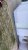 A656CA41-4E14-4DF2-8B26-A0E139209ED0.jpeg