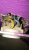 IMG-20151231-WA0001.jpg