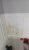 Moisissures 1.jpg