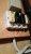 20151020_141041_resized_1.jpg