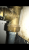 IMG_3329.PNG