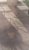 20170220_084707 copie 3.jpg
