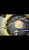 IMG_2892.PNG