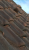 IMG_3168.PNG