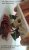 branchement-prise1-annot.jpg