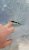 20180211_112352_resized.jpg