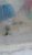 20180211_112448_resized.jpg