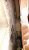 P_20180503_203214_1_p.jpg