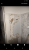 Screenshot_20181216-180341.png