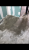 ECE48064-6C8B-4B23-AE43-FC73846BB42C.png
