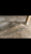 EE987CCC-50E1-4A85-980B-EC6A7952F51B.png