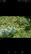 Screenshot_2019-08-14-15-21-20.png