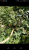 Screenshot_2019-08-14-15-21-55.png