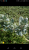 Screenshot_2019-08-14-15-22-04.png