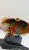 20191106_152834.jpeg