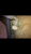2DEE90BB-6158-44F8-85EC-71DAED06813E.png