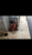 CA16B778-91CF-4005-9090-89CCA88C84FB.png