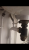 IMG_4013.PNG