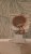 IMG-20210111-WA0003.jpeg
