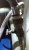 P_20210205_095946_vHDR_On.jpg