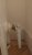 radiateur zoom.jpeg