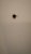 EE708253-A588-4012-92C4-484587965E4F.jpeg