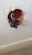 IMG-20231011-WA0001.jpeg