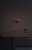 12270137_10153363962199862_56425194_n.jpg