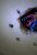 DSC09850_.JPG
