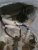 Interrupteur 1.JPG