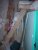 100_4313.JPG