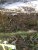 DSCF1128.JPG
