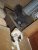 DSCF2760.JPG