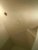 DSCN7074.jpg