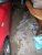 20121222_225734.jpg