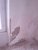 IMG_20130503_115310.jpg